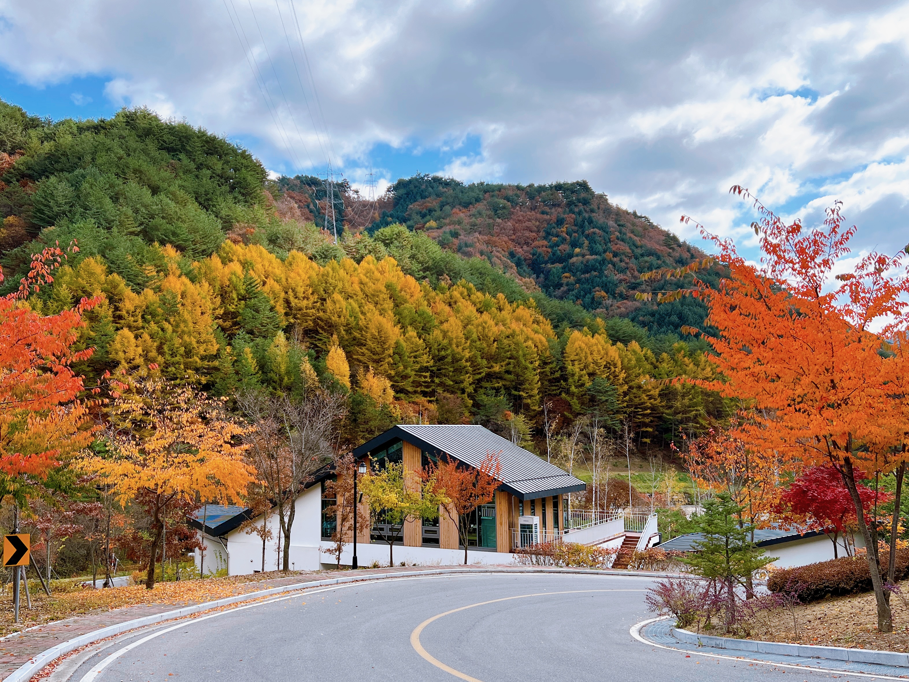 강원랜드산림힐링재단, 23년 1분기 ‘숲PRO’ 프로그램 참가단체 모집