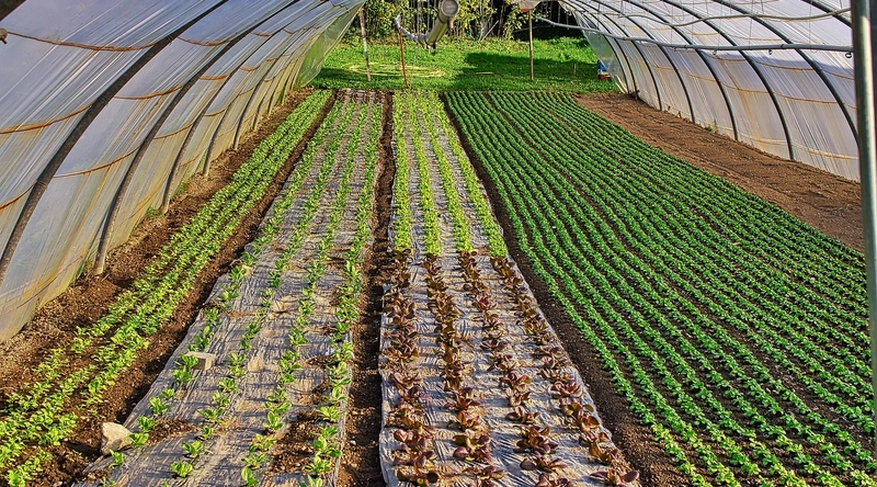 배관 교체의 필요성