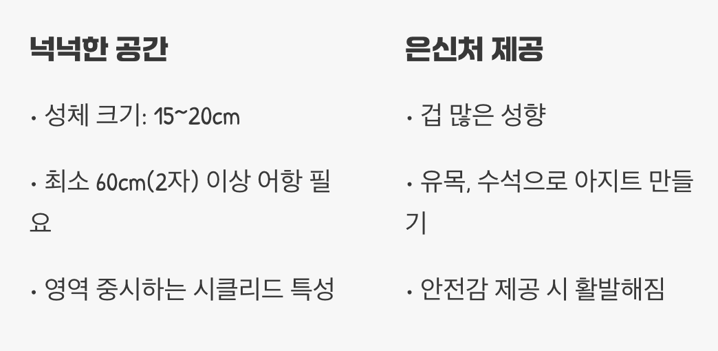 어항 준비 - 넉넉한 공간과 '숨을 곳'