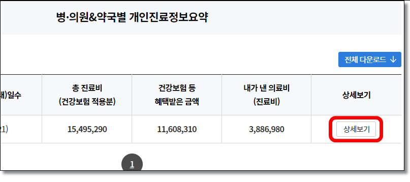내가-낸-진료비-내가-먹은-약-조회-건강보험심사평가원