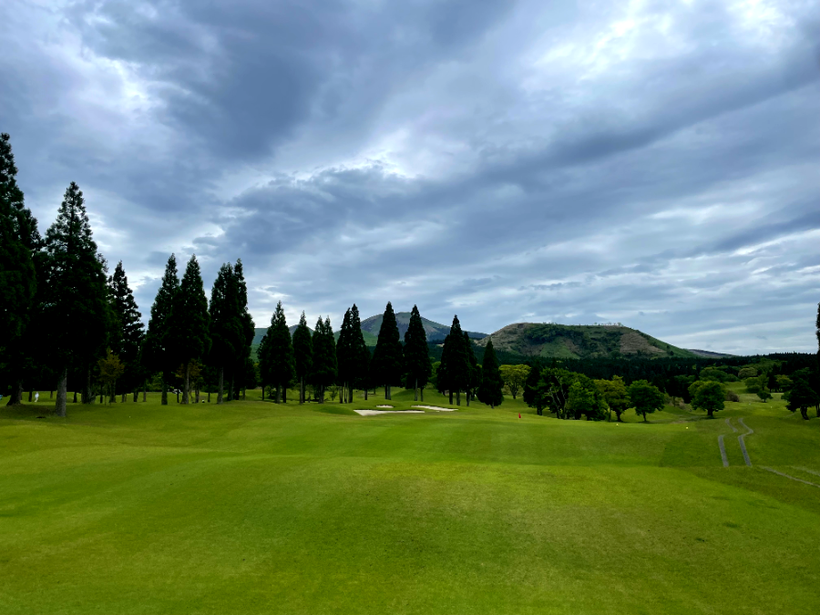 아소 그랜드브리오 골프장 코스 삼나무 전경