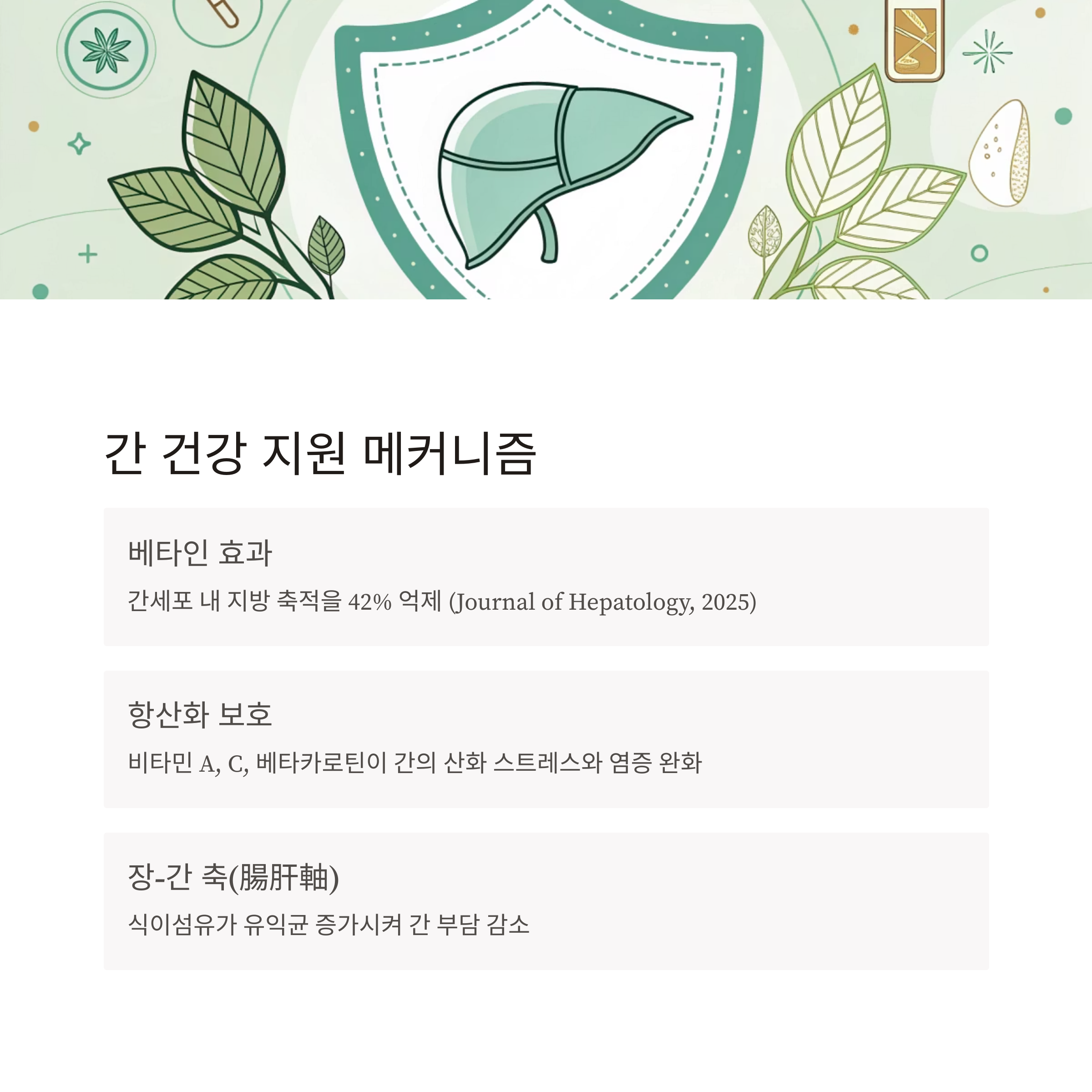 비타그린 간 해독