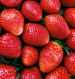 천식에 좋은 음식 영양제 식단