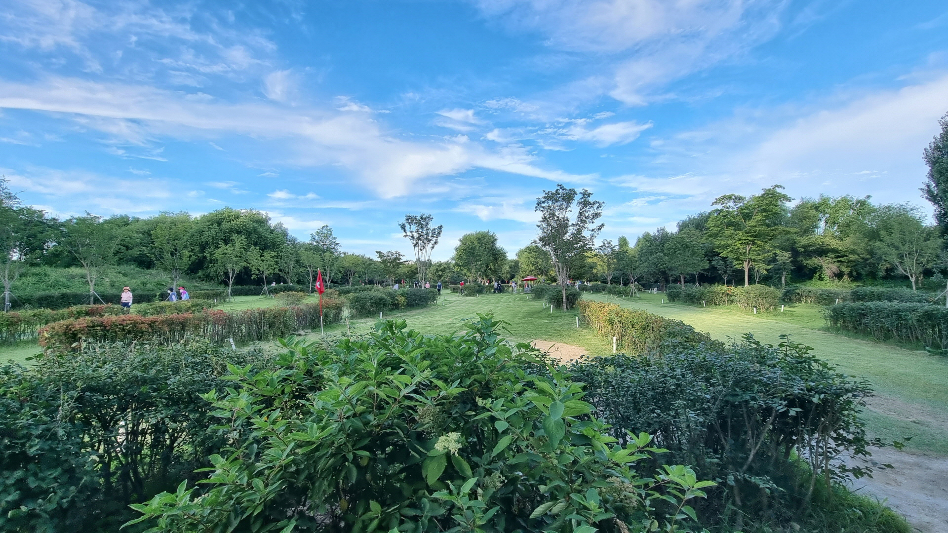 여의도 한강공원 파크골프장의 전체전경 (출처:파크골프커뮤니티)