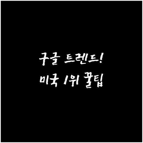 미국 구글 트렌드 설정 및 국가별 관..