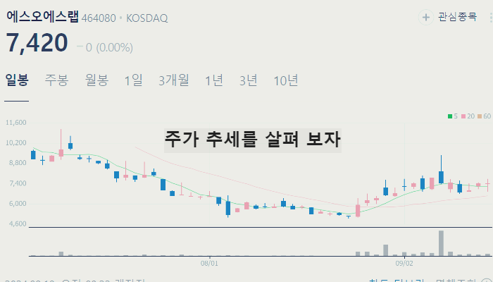 로보택시 관련주 대장주 테마주 수혜주 TOP7