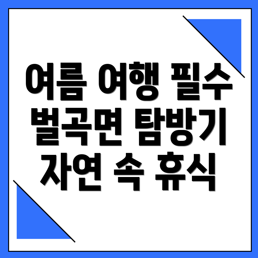 논산시 벌곡면 여름 여행