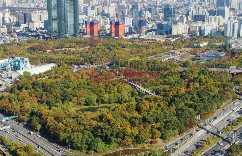 서울단풍명소 추천