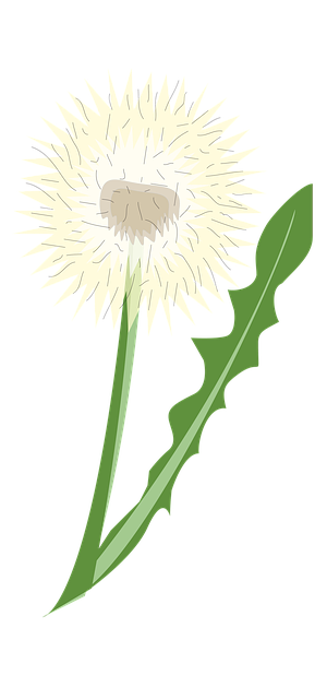 강한 육군