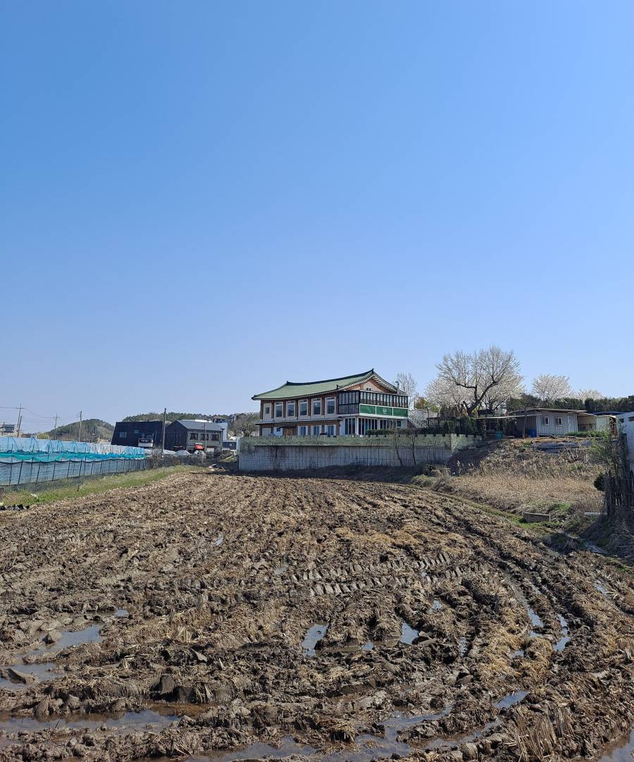 논 너머 농가의 식탁