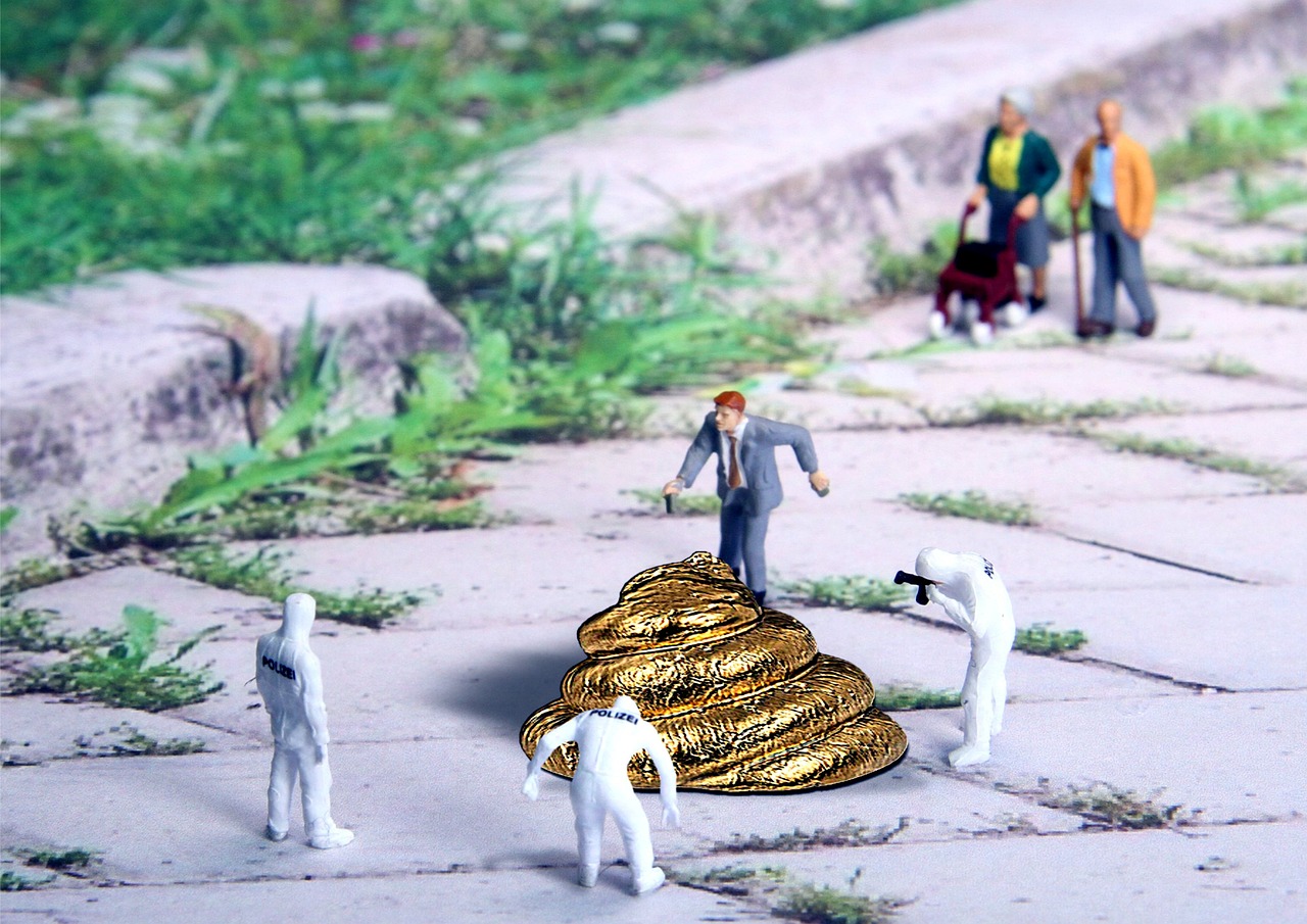 똥꿈-똥꿈해몽-똥꿈 태몽-똥꿈로또-똥꿈 복권-아기똥꿈-강아지 똥 꿈-화장실 똥꿈-고양이똥꿈-변기 똥 꿈- 똥꿈 로또-화장실 똥꿈-남의똥꿈-다른사람 똥 꿈-똥꿈 태몽
똥꿈 복권 강아지 똥 꿈 아기똥꿈 황금똥 꿈