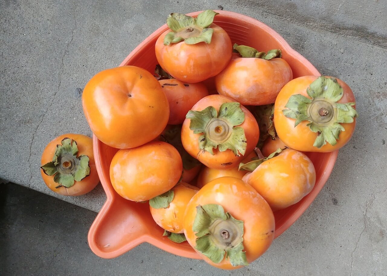 아이들 건강을 위한 제철 계절별 채소 및 과일 알아보기