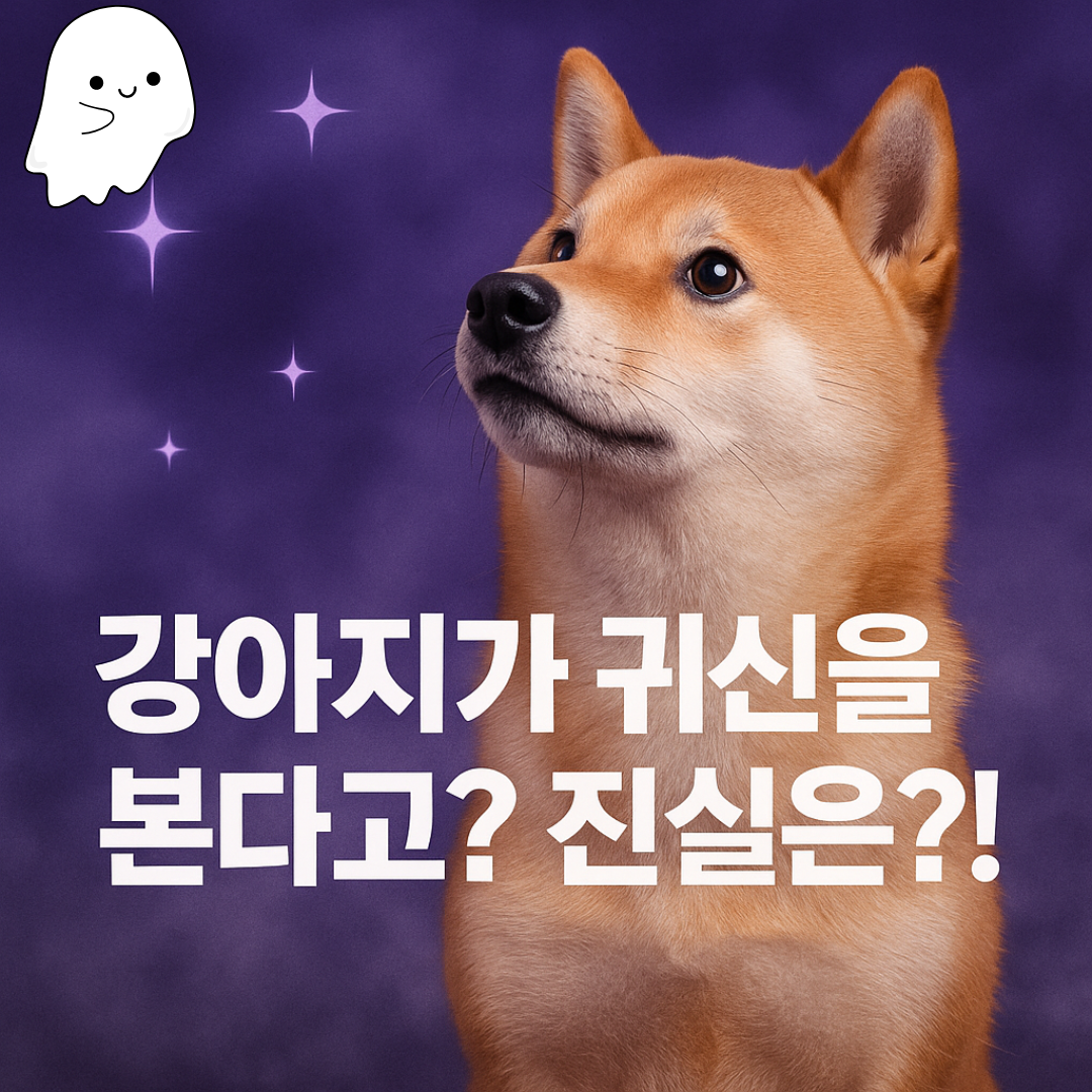 강아지가 귀신을 본다고?
