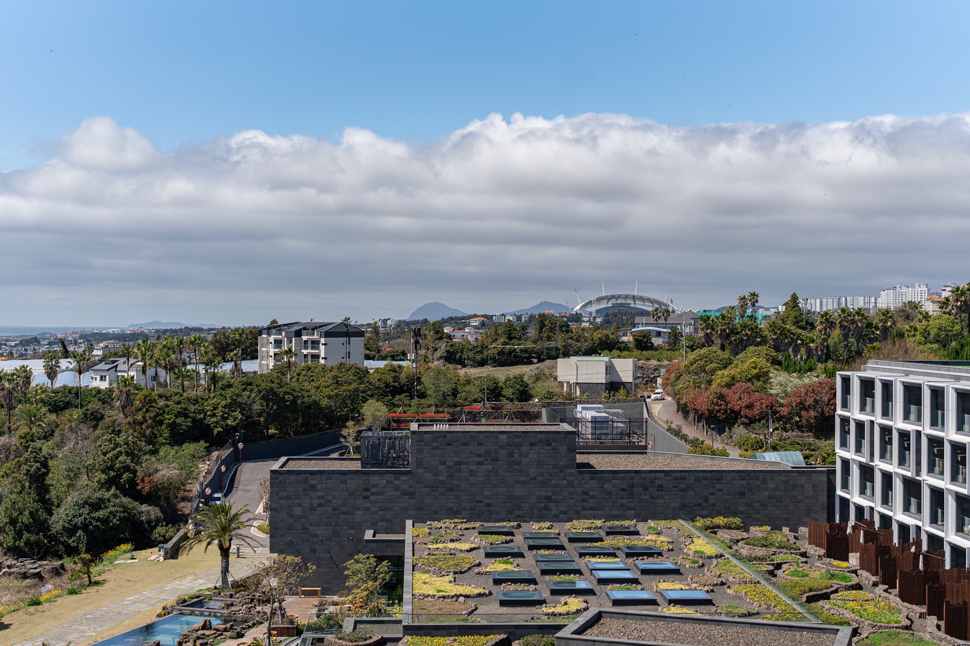 #JW가든 #JW메리어트제주 #댄싱두루미 #더플라잉호그 #아일랜드키친 #유채꽃 #제주사진 #제주여행 #제주유채꽃 #제주호텔