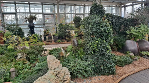 화성_우리꽃식물원_국화전시회