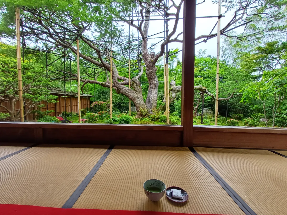 호센인_액자정원과_녹차