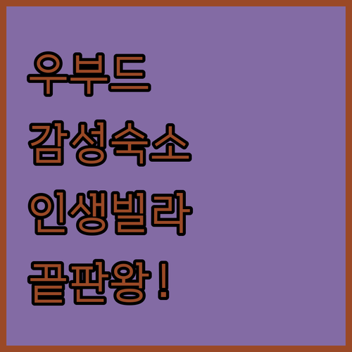 와두와 가성비 숙소부터 럭셔리 빌라까..