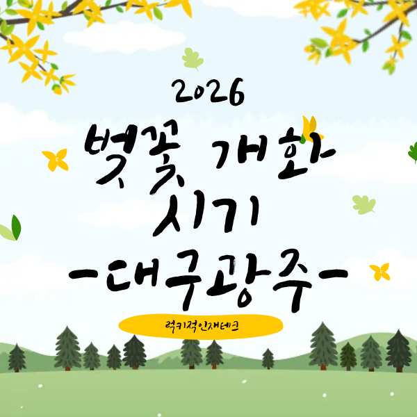 대구 광주 벚꽃 개화 시기
