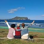 렌터카보다 효율적인 제주 관광택시&amp;#44; 중형&middot;대형 제주택시투어 비교! 1일 코스별 예산 가이드