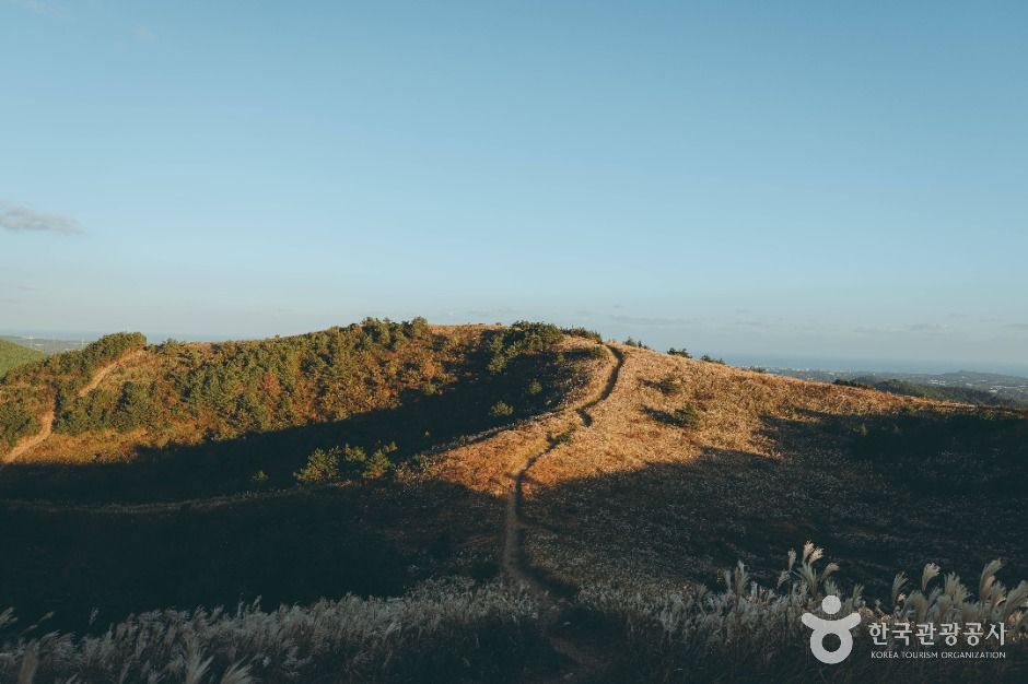 40대 혼자 가기 좋은 여행 추천 베스트 7
