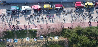  2025 청주 벚꽃 푸드트럭 축제 완벽 가이드: 일정 및 프로그램 교통 정보 