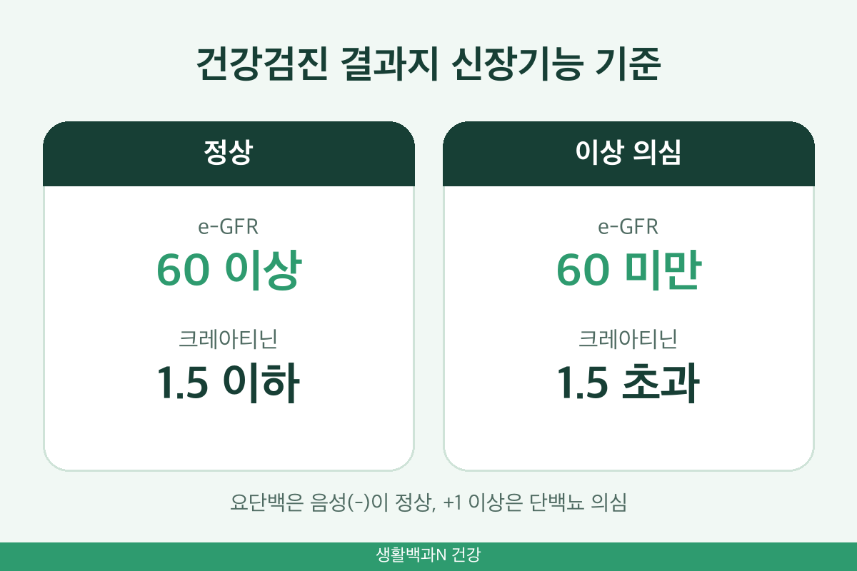 건강검진 결과지 신사구체여과율 e-GFR 크레아티닌 요단백 정상 기준