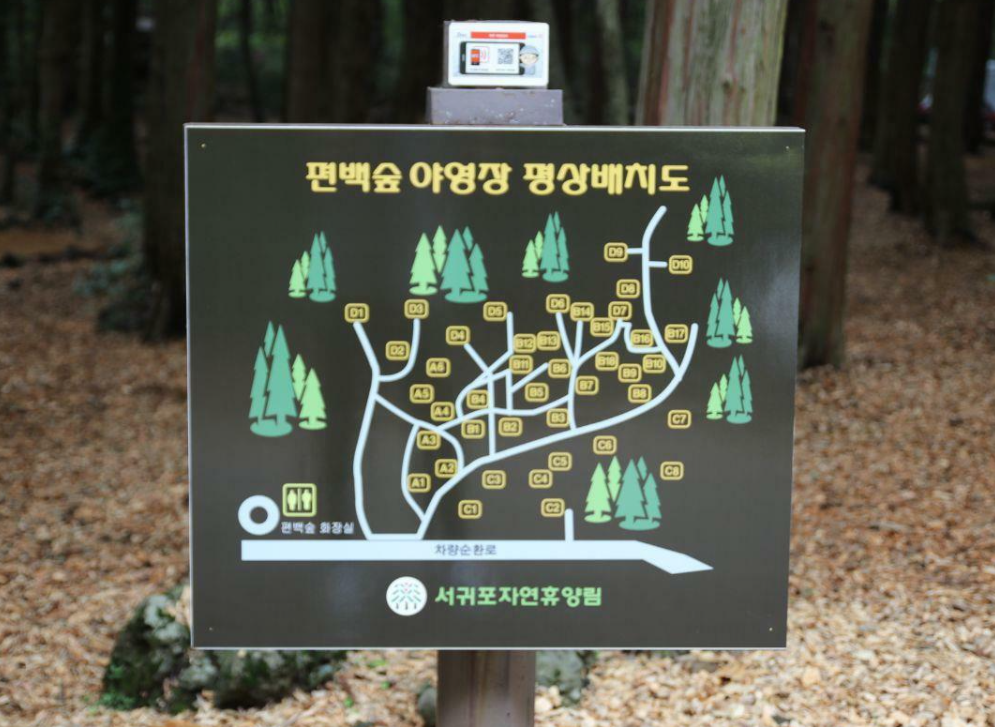 서귀포 자연휴양림 숙소·캠핑장·예약부터 산책코스·주변맛집까지 한눈에!