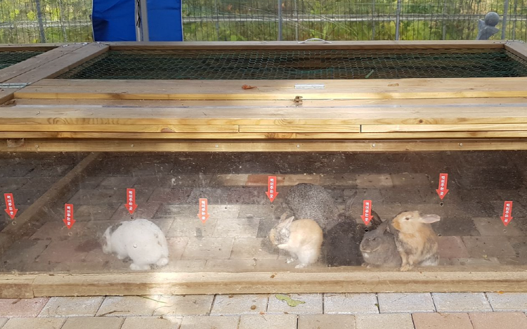 덕평 공룡수목원