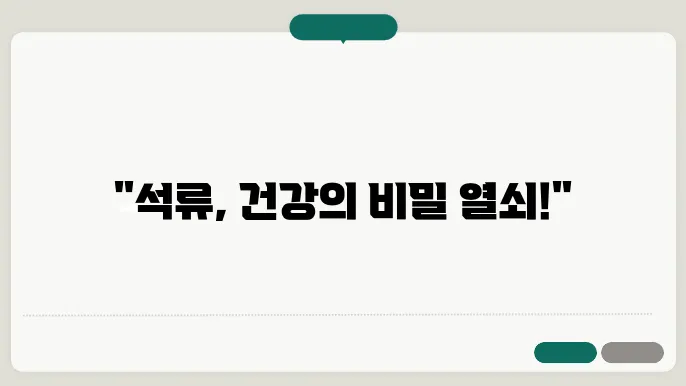 석류 효능