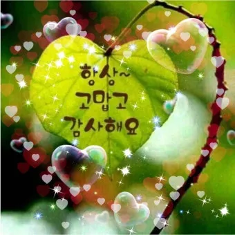 아침 인사말 일러스트 이미지 인사 문구_11