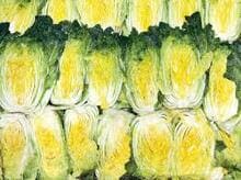 2024 절임배추 구매 방법 사전 예약