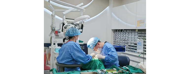 부산 서구 치과