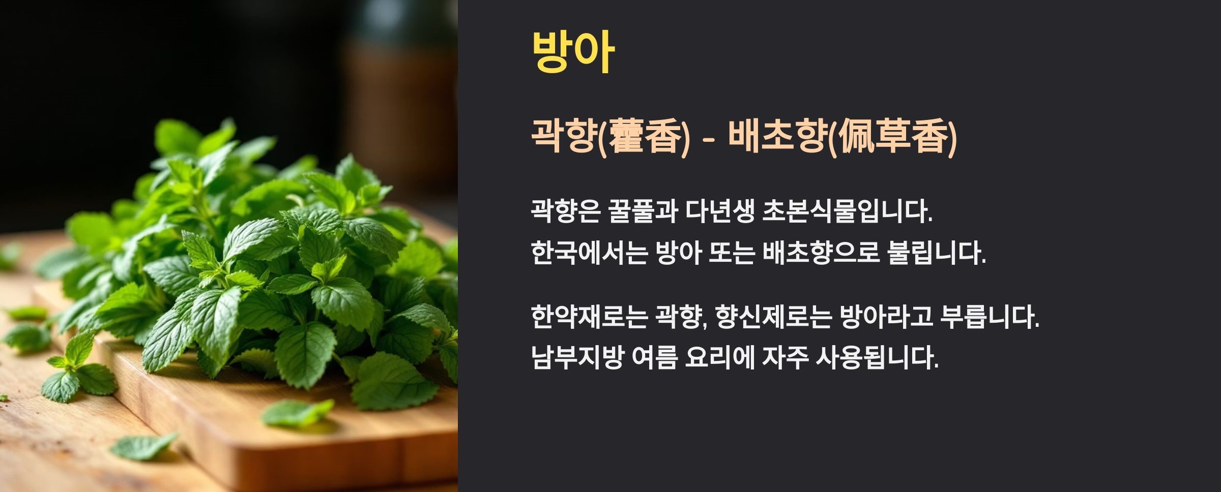 곽향(방아)란?