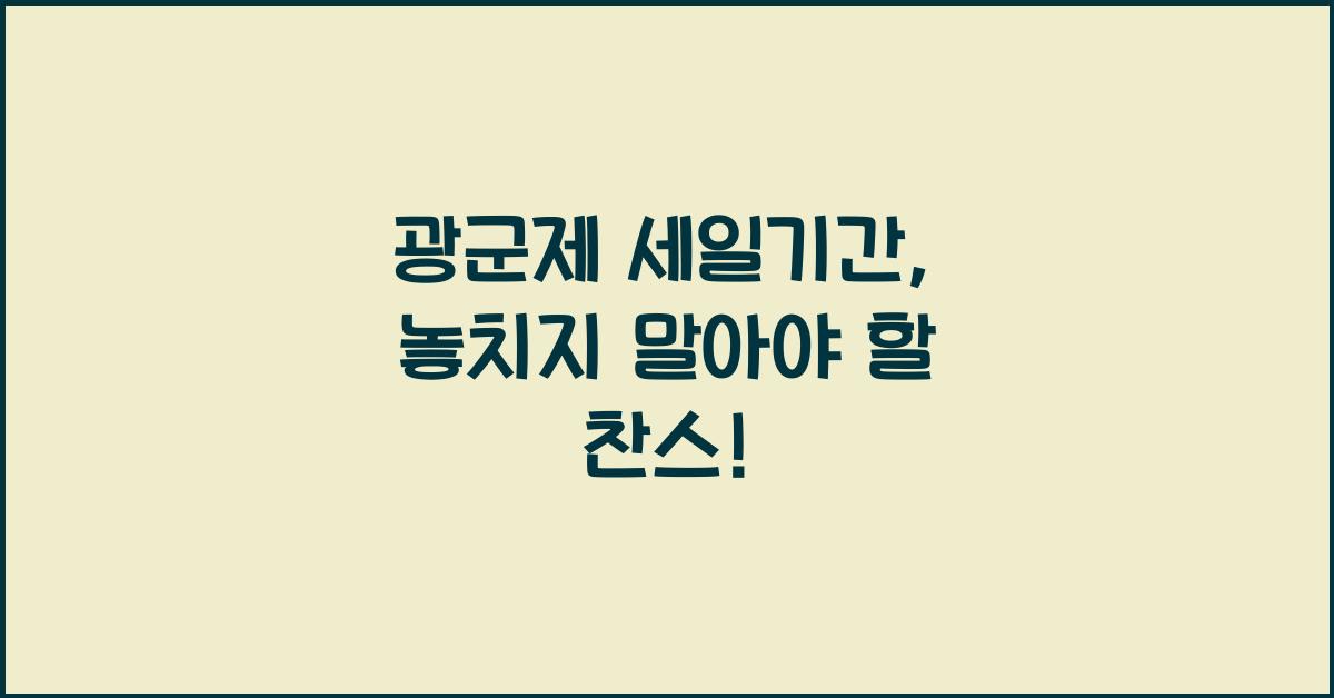 광군제 세일기간