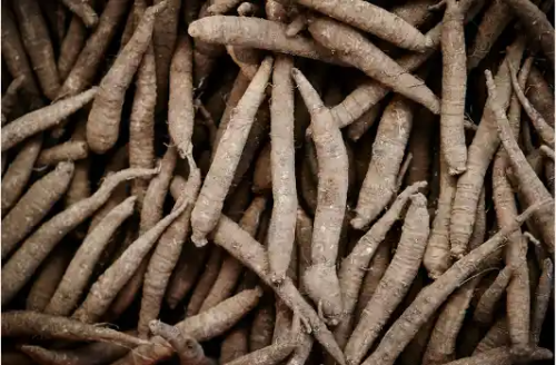 더덕 효능과 부작용&amp;#44; 먹는방법