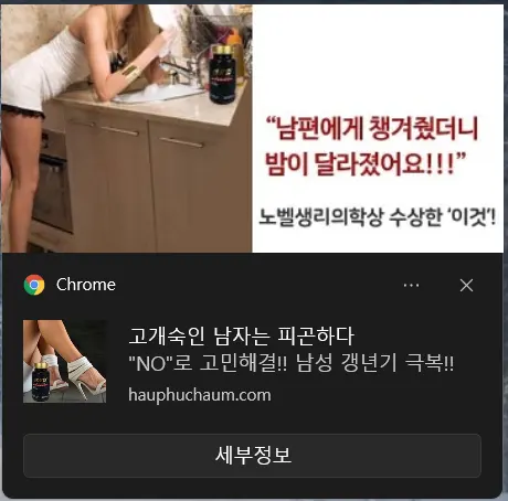 크롬 실행 시 작업표시줄 오른쪽 위 뜨는 팝업광고 제거_2