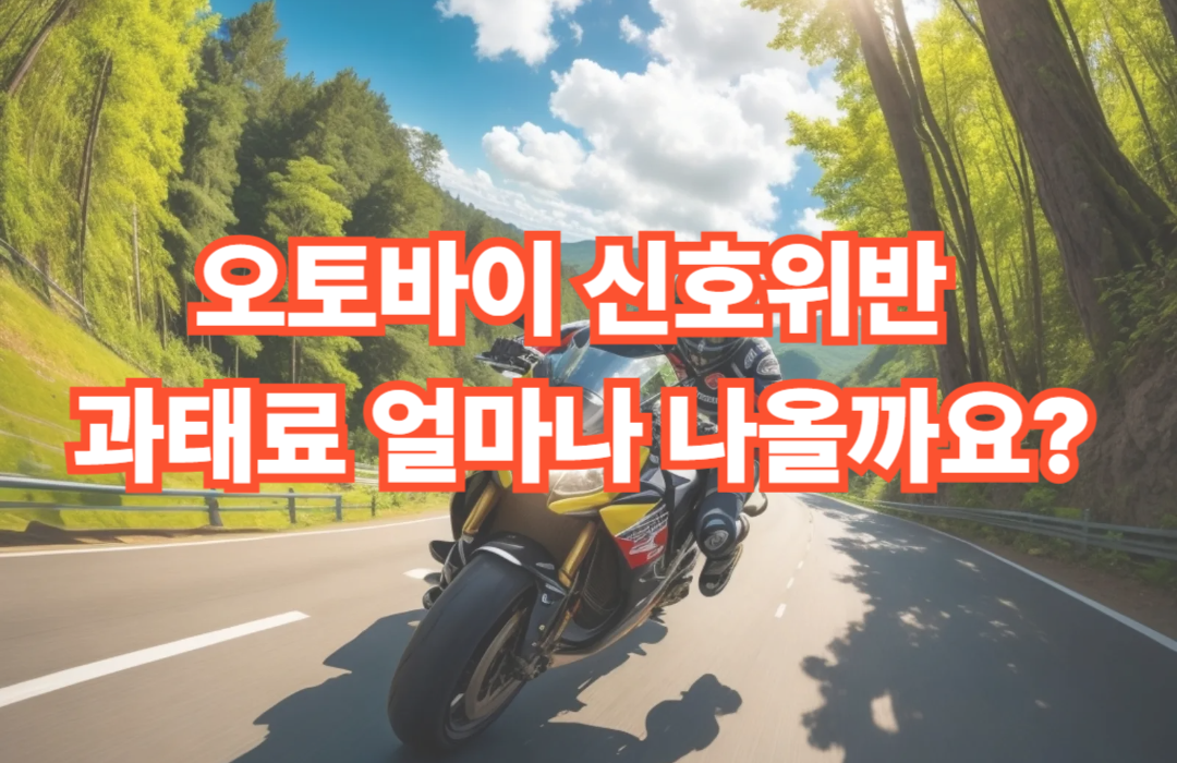 오토바이 신호위반