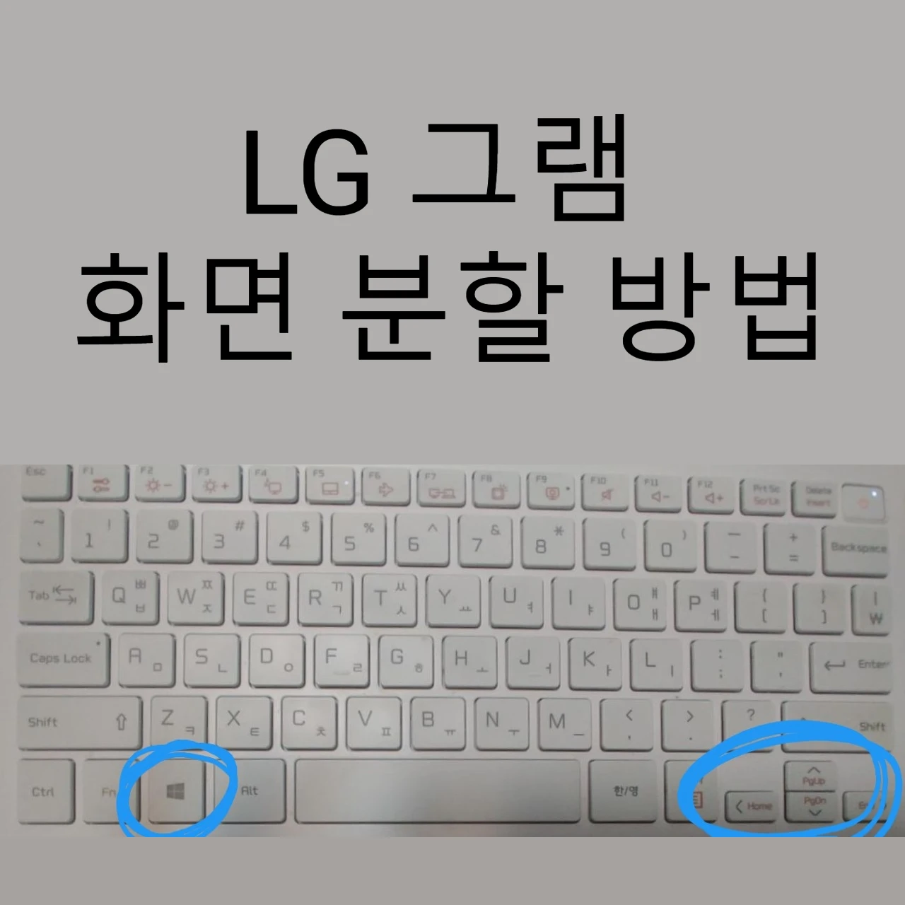 LG-그램-화면-분할-방법
