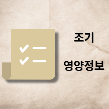 조기 영양 정보