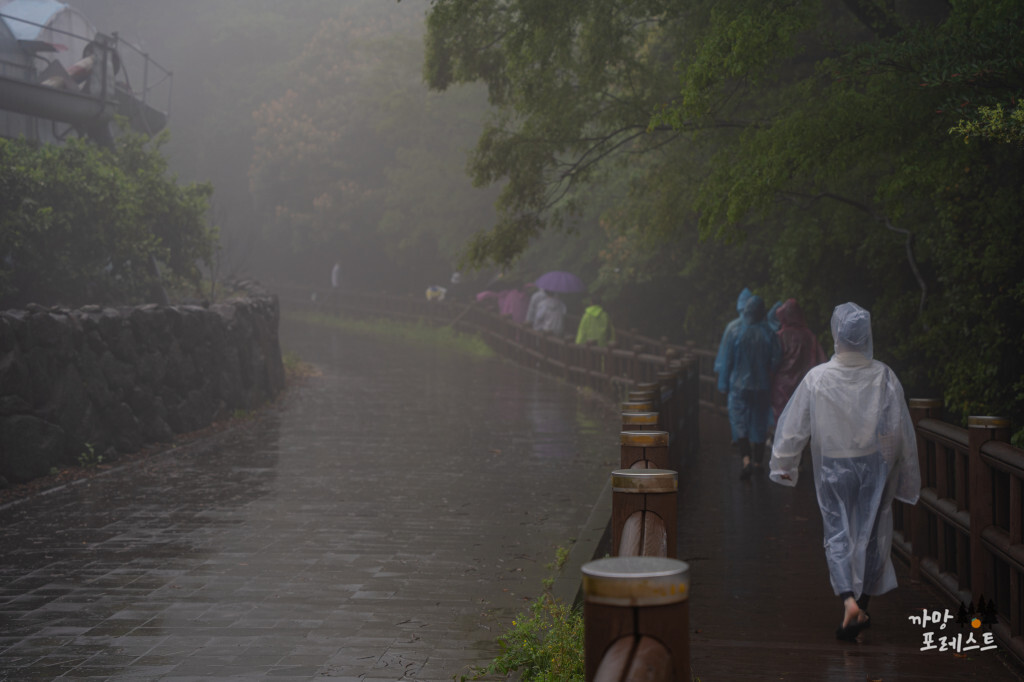 엉또 폭포 산책로