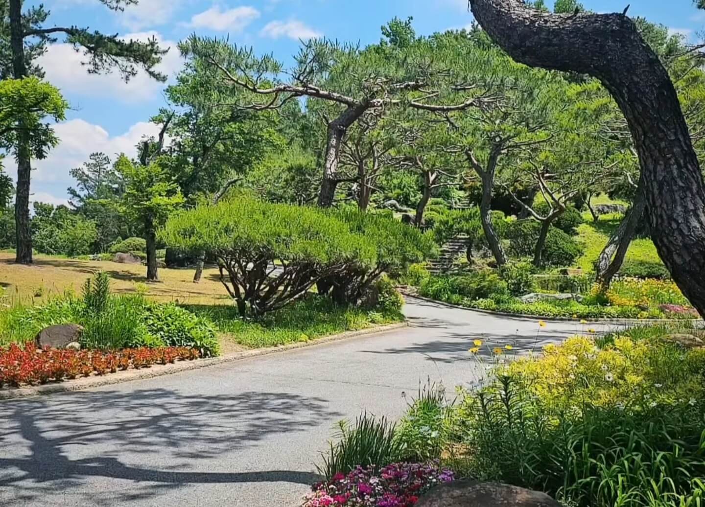 2025년 KB금융 스타챔피언십 티켓&middot;주차&middot;갤러리 총정리