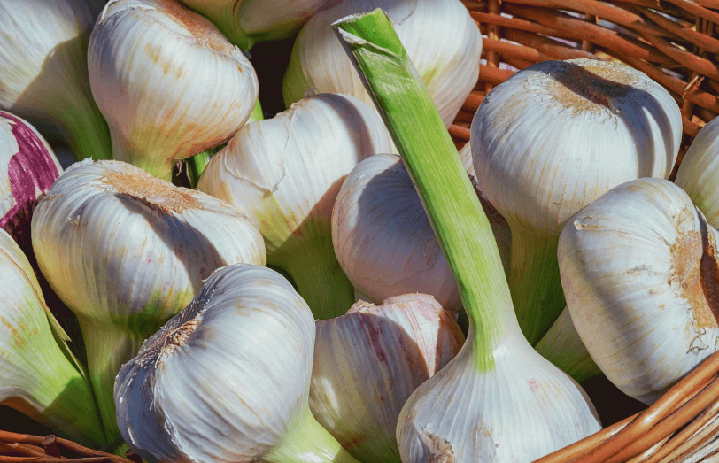 한국인 면역식단 식품 마늘