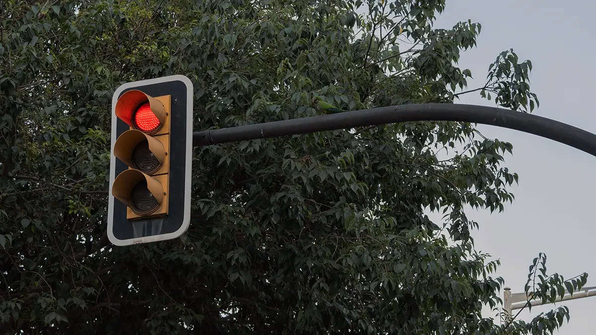 보험금 받기 전 반드시 확인해야 할 점