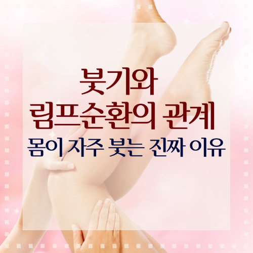 붓기와_림프순환의_관계