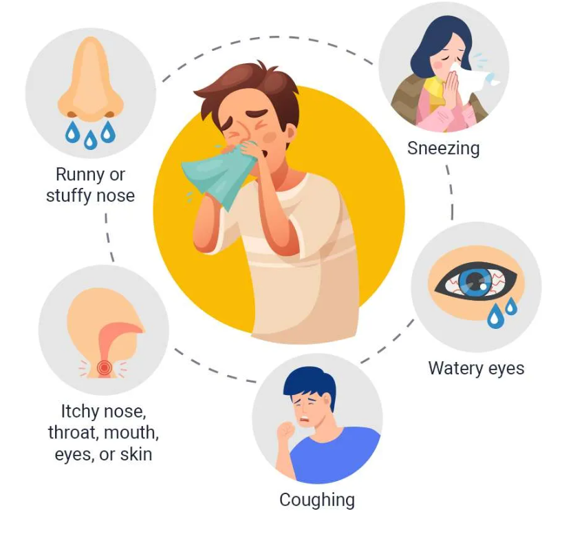 비염에 좋은 차