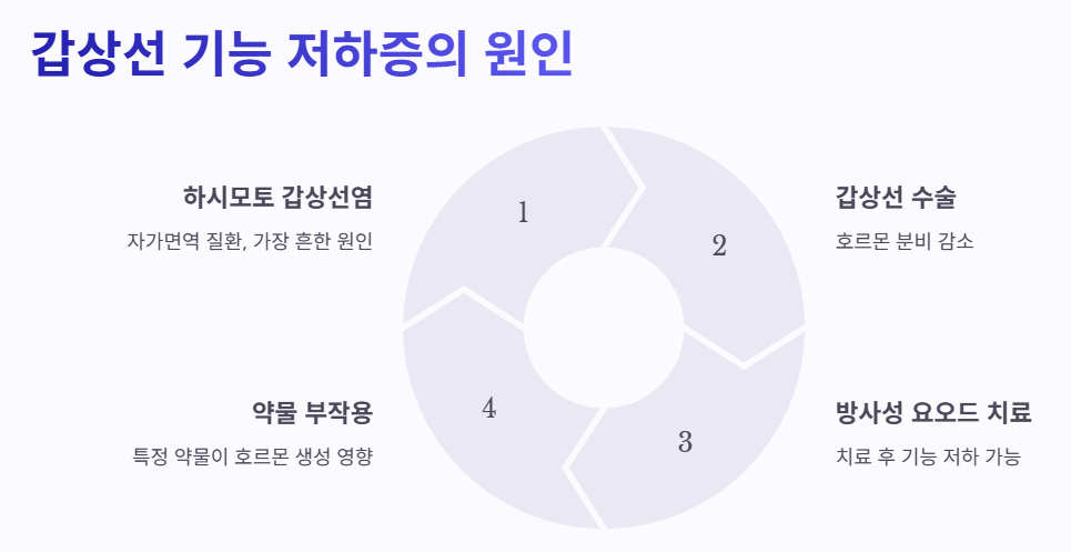 갑상선 기능 저하증의 원인