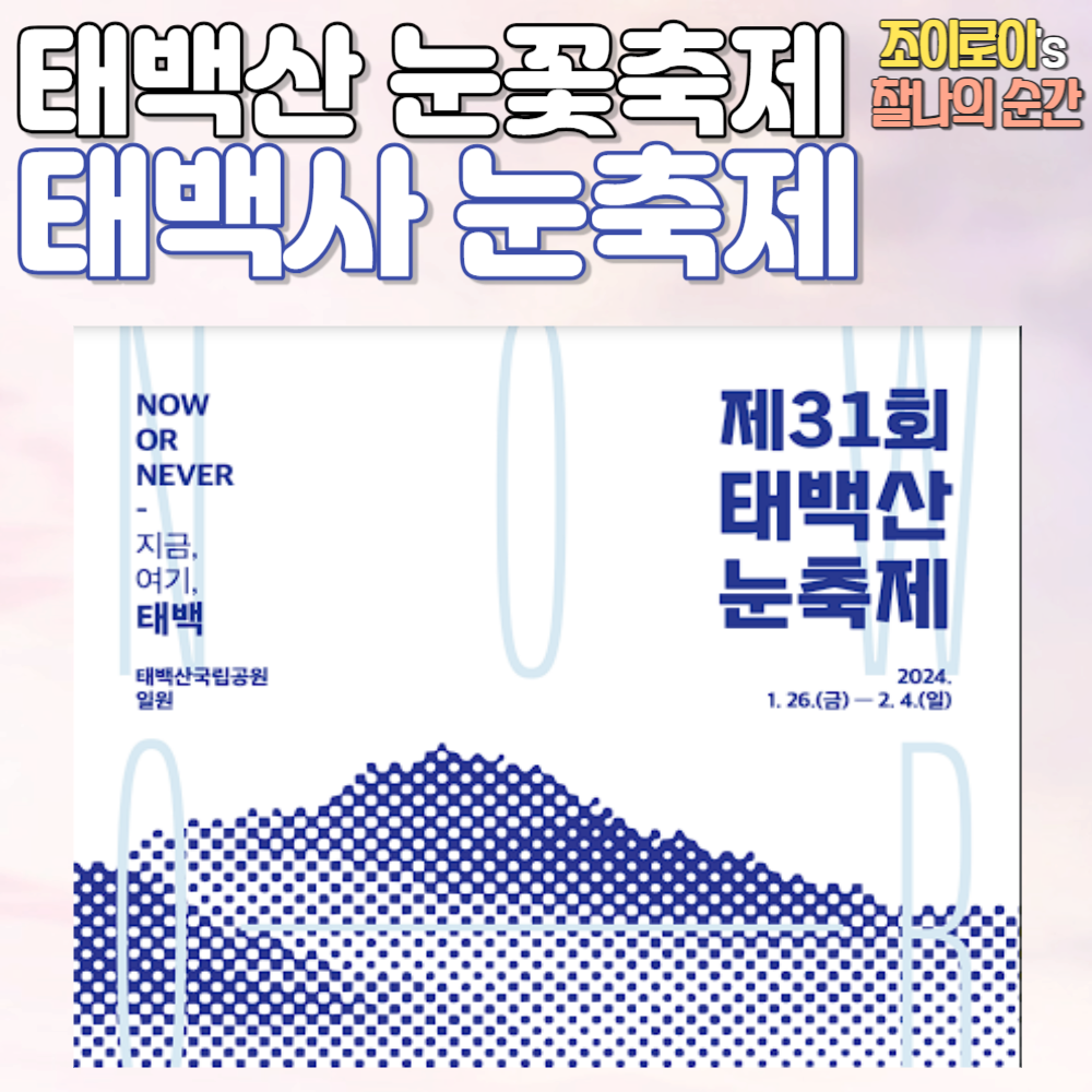 태백산 눈꽃축제 열차 일정 예약