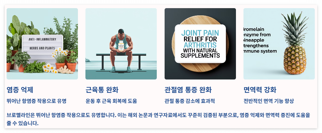 항염작용 면역력 강화