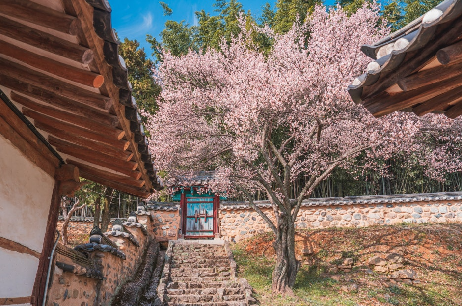 밀양 밀양향교1