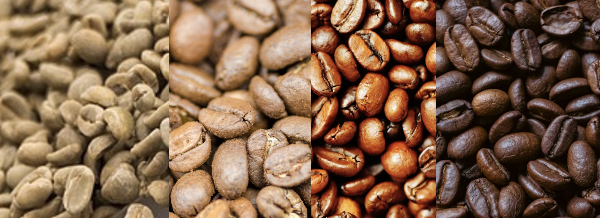 로스팅의 물리적 변화와 화학적 반응: 커피 속 벌어지는 진짜 과학 이야기_물리적 색상 변화